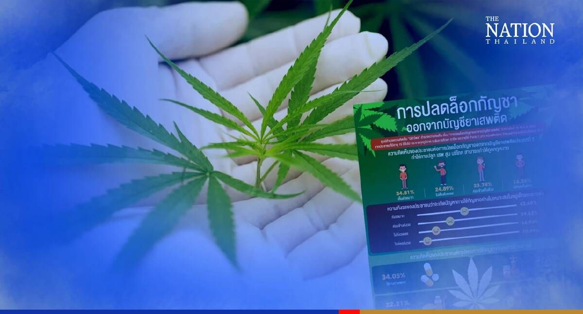 Read more about the article Over 150,000 people in Thailand rush to register for cannabis planting as the crop Is legalized